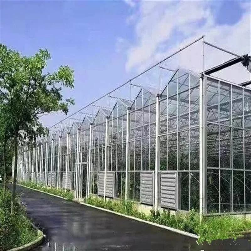 Exterior of a glass greenhouse with ventilation equipment, used as an atmospheric image for the supplies marketplace
